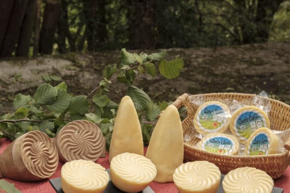 El Casín, el queso más antiguo de Europa