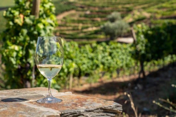 Dentro de la bodega de Portugal: el vino verde