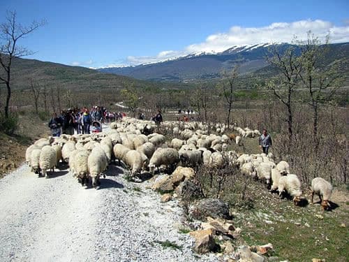 La cultura pastoril de Madrid: TrashuMad 2010