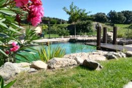 7 casas rurales con piscinas naturales